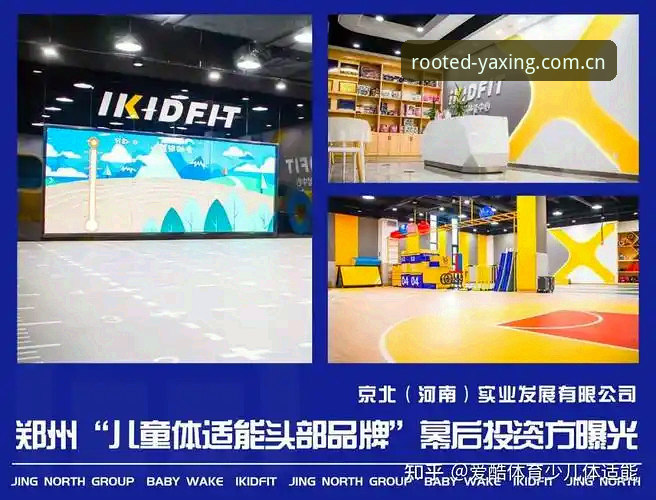 亚星体育平台V3版本迁移指南：从选择到使用的完整决策手册